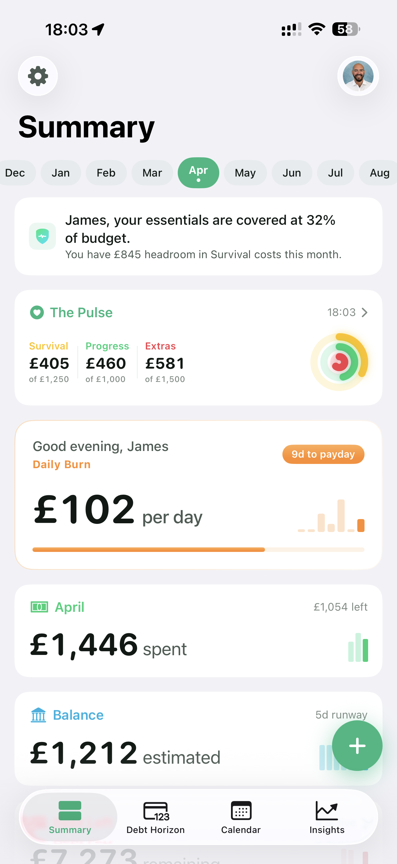 Mint Money Tracker App - Budget Summary showing Daily Burn, The Pulse spending breakdown, and monthly overview